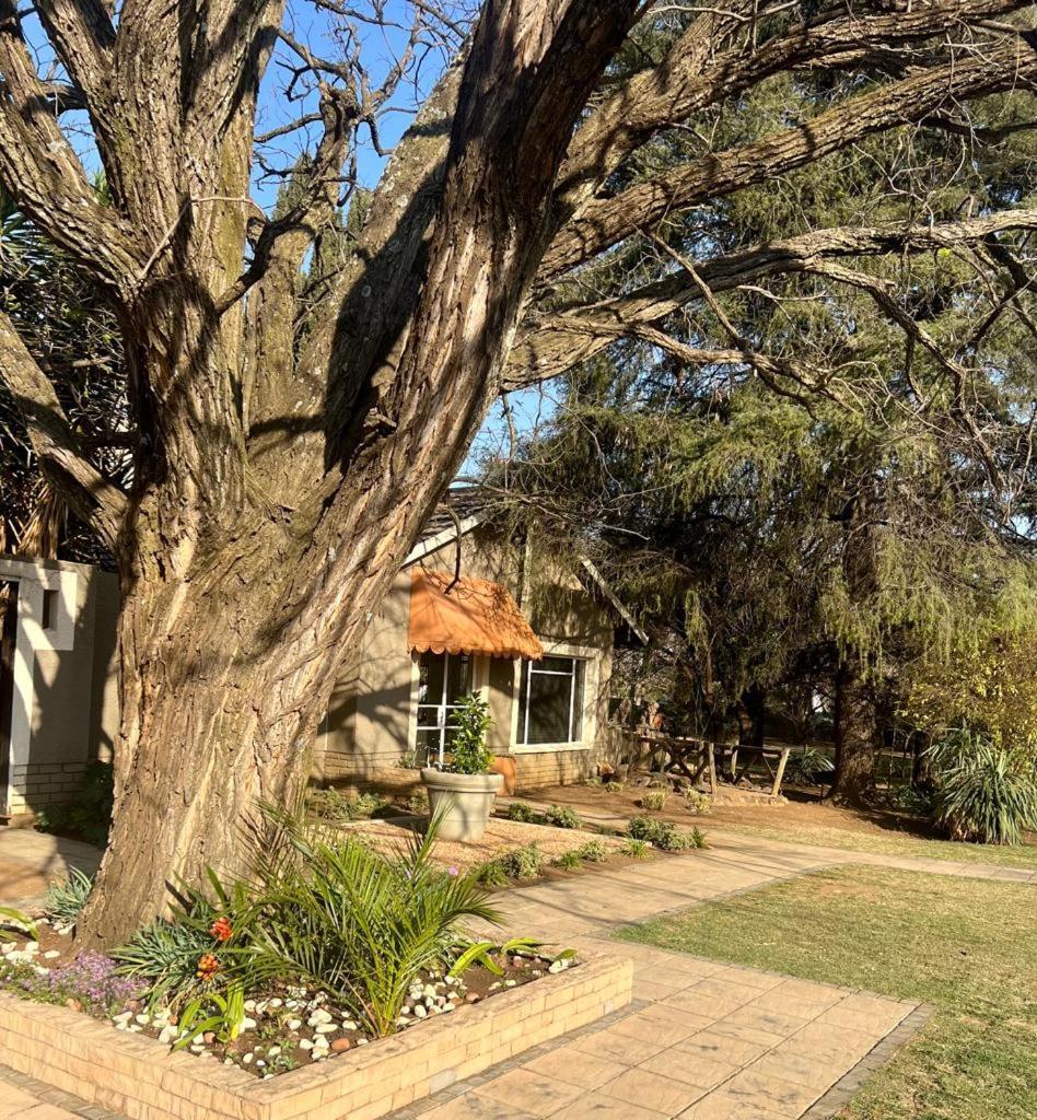 Silken Trap Accommodation No Loadshedding Johannesburg Exterior photo